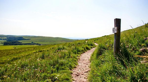 Grimpe à quimper : explorez un terrain verdoyant de 5000 m² !